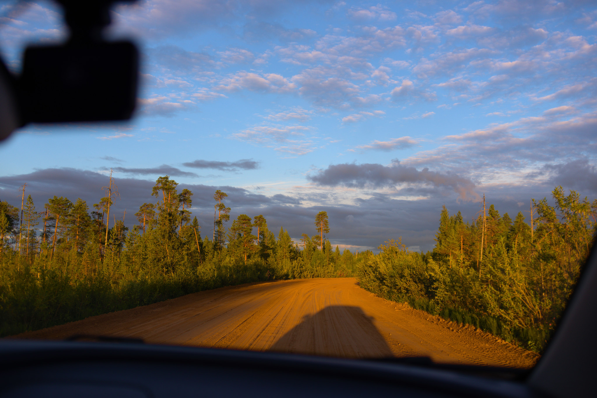 Journey along the Northern Road - My, Road, The photo, North, The nature of Russia, Forest, Pinega, Arkhangelsk region, Longpost