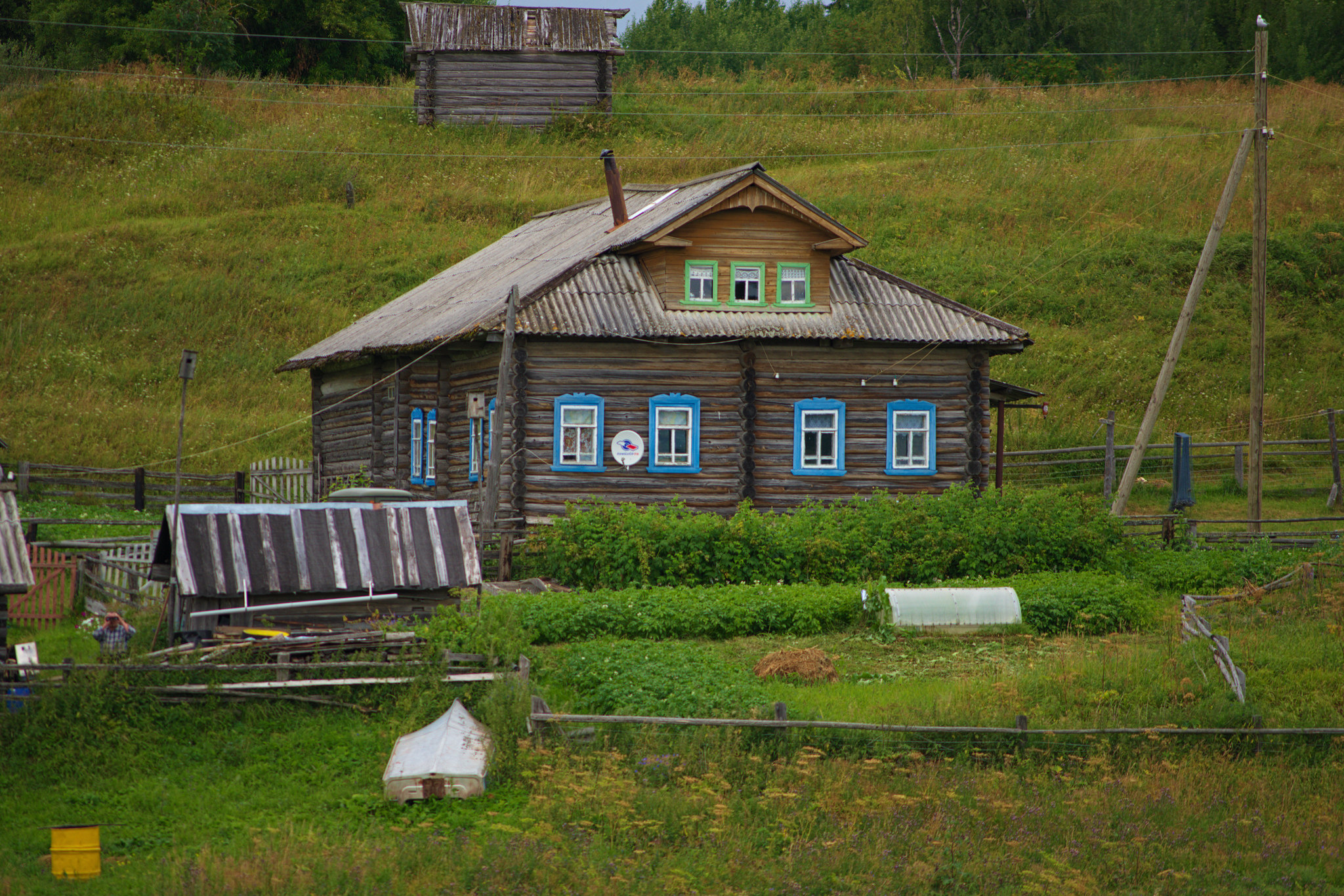 Journey along the Northern Road - My, Road, The photo, North, The nature of Russia, Forest, Pinega, Arkhangelsk region, Longpost