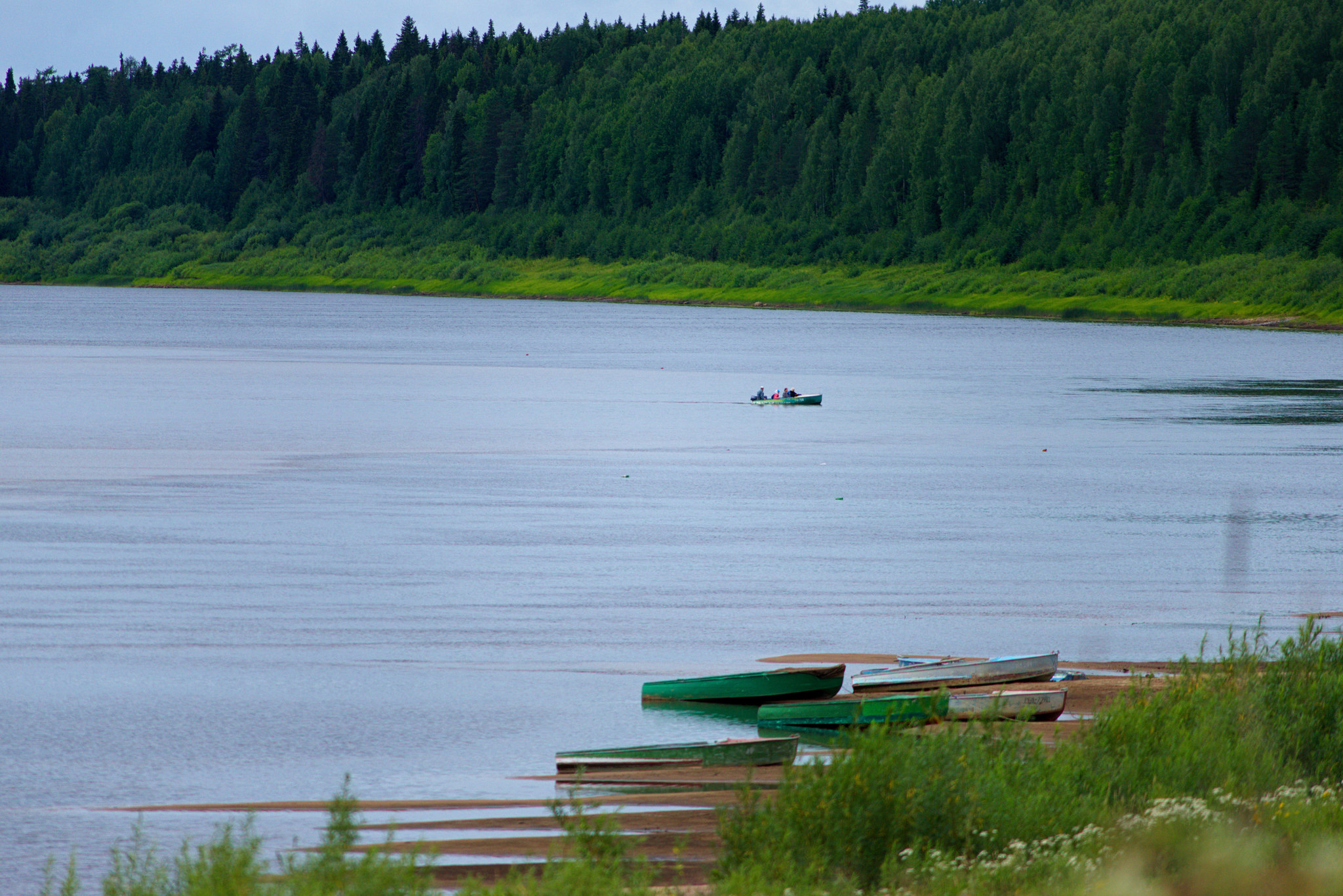 Journey along the Northern Road - My, Road, The photo, North, The nature of Russia, Forest, Pinega, Arkhangelsk region, Longpost