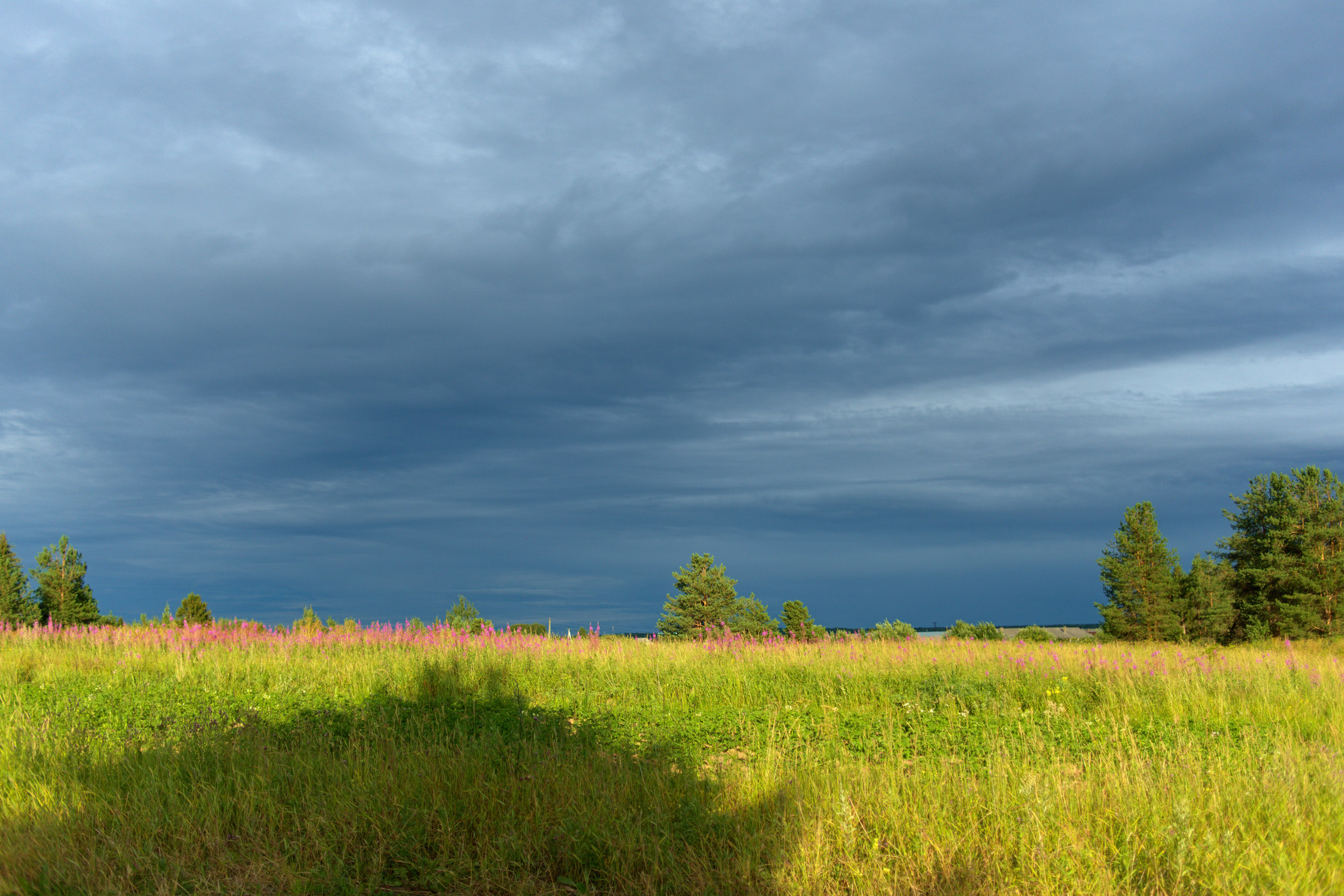 Journey along the Northern Road - My, Road, The photo, North, The nature of Russia, Forest, Pinega, Arkhangelsk region, Longpost