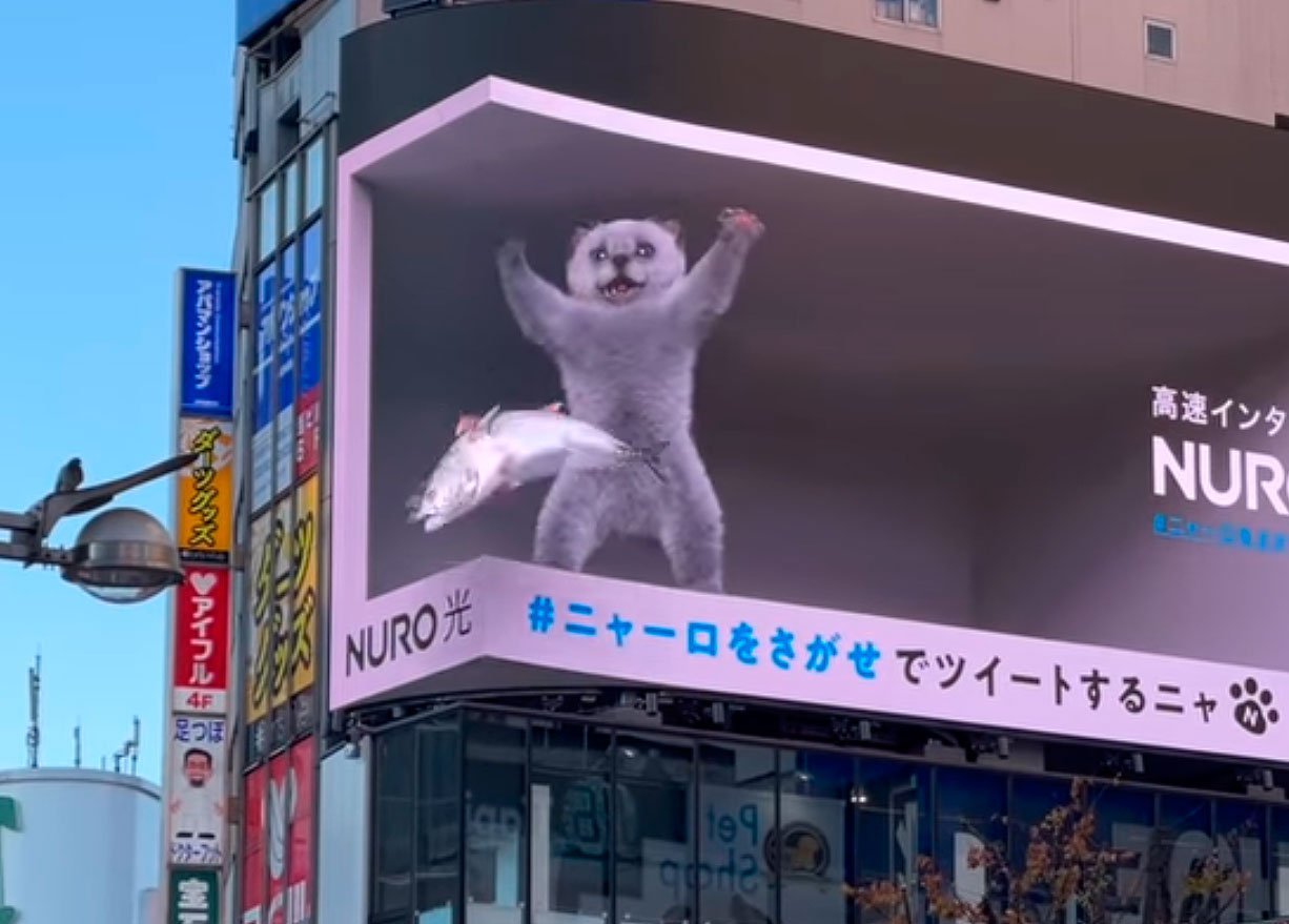 On billboards in Tokyo, a kitten also settled. With fish (not selling, but showing) - Japan, Tokyo, Advertising, Creative advertising, 3D, Interesting, Kittens, Do you sell fish?, Technologies, Video, Longpost