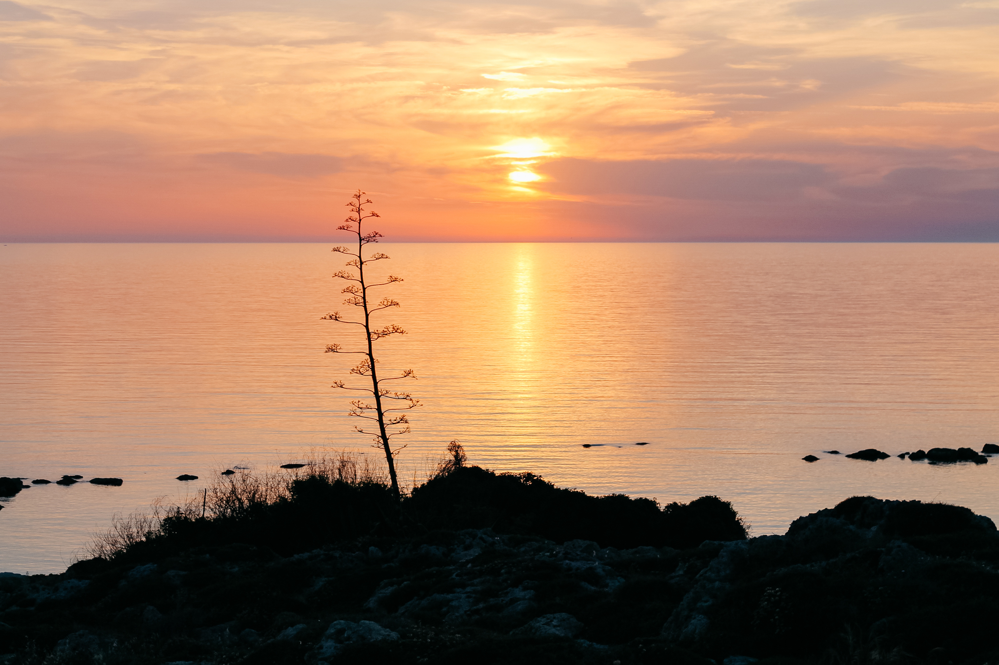 Cyprus in spring - My, Travels, Cyprus, Mosaic, Antiquity, Relaxation, sights, Longpost