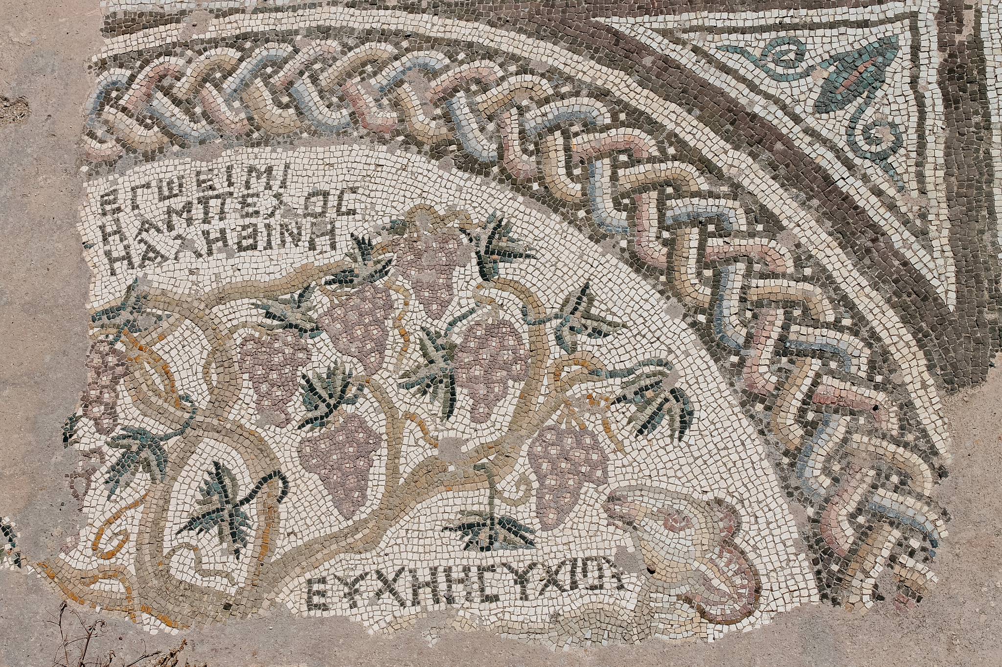 Cyprus in spring - My, Travels, Cyprus, Mosaic, Antiquity, Relaxation, sights, Longpost