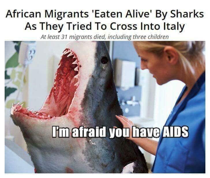 Not all migrants are equally useful - Picture with text, Shark, Doctor's appointment, AIDS, Migrants, Black humor, Humor