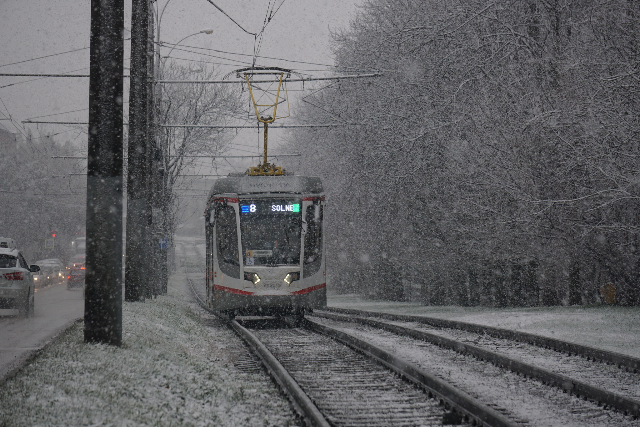 Through the snow - My, Tram, Tram rails, Krasnodar, Краснодарский Край, Snow, The photo, Longpost