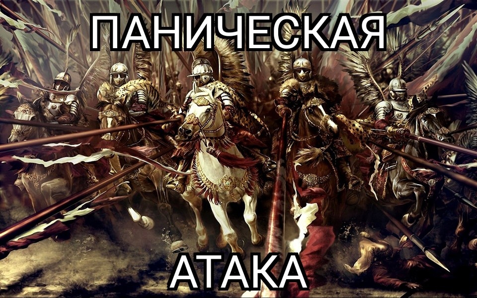 Who understood he understood... - Winged Hussars, Memes, Picture with text, Subtle humor