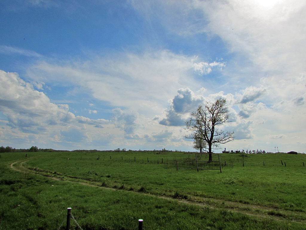 Ostrovsky fortified area. Stalin Line - My, The Great Patriotic War, Fortified Area, Pskov, Island, Stalin, Story, Monument, Travels, Longpost