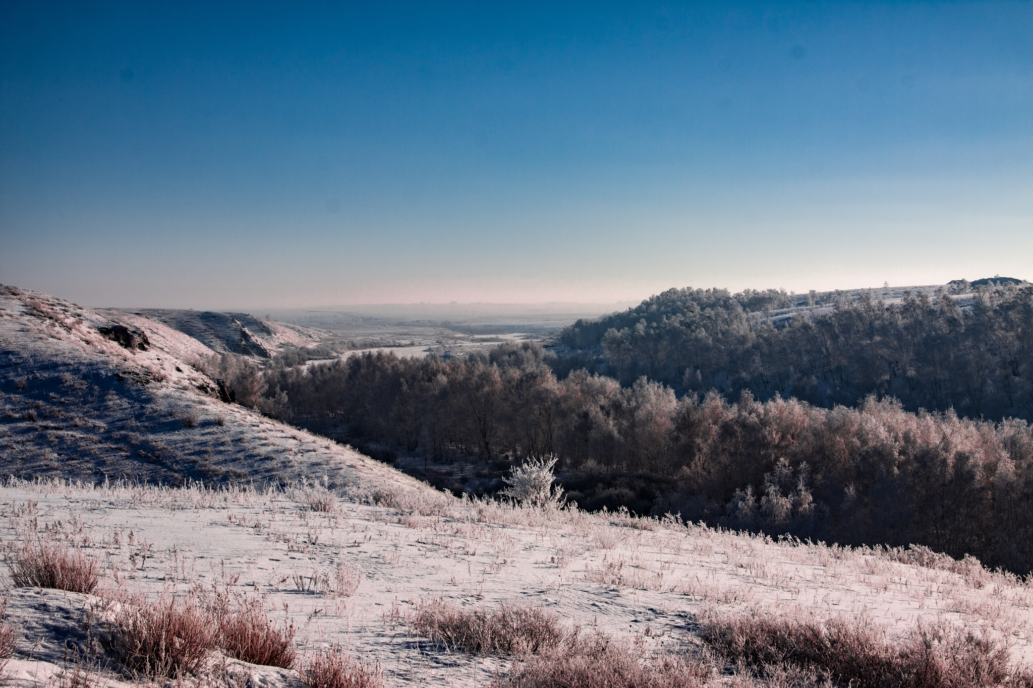 Winter morning - My, Winter, Frost, Landscape, Longpost