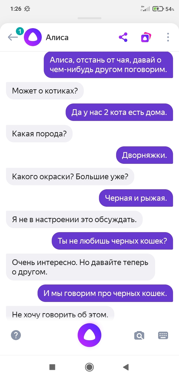 Яндекс запретил Алисе обсуждение черных котиков.... Ещё поговорим о  толерантности и национальностях?... | Пикабу