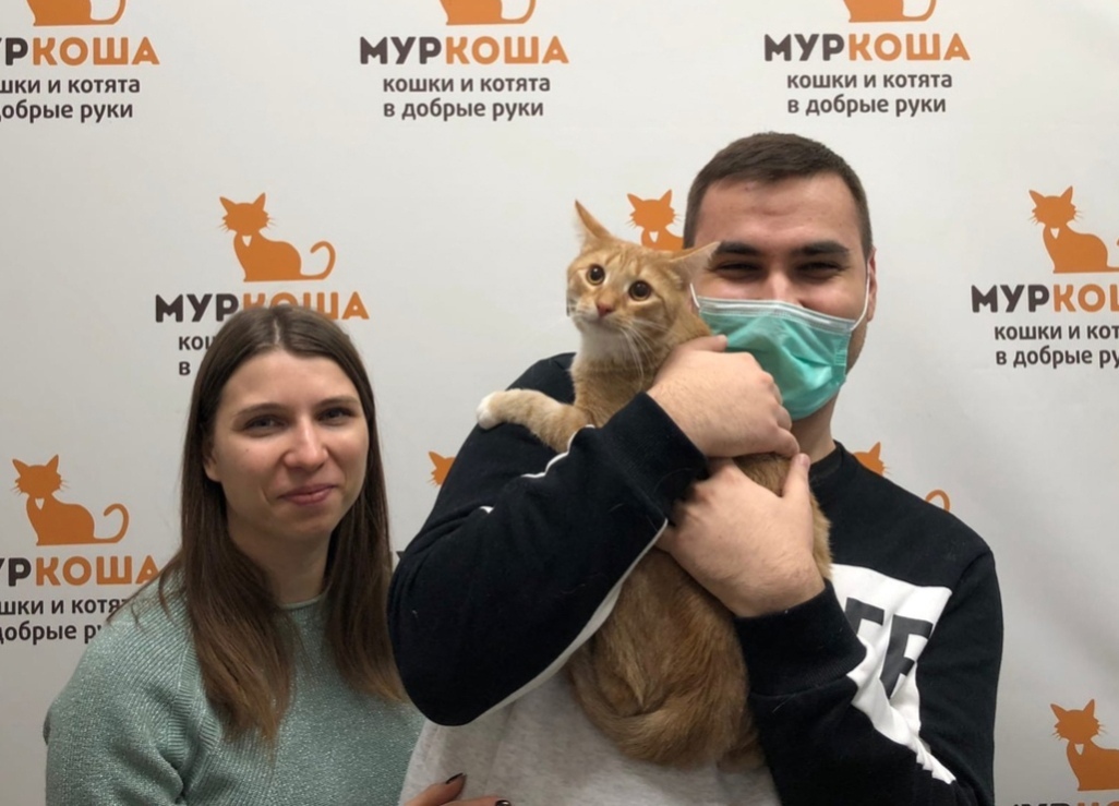 We are glad to share our successes with you - My, Murkosh shelter, Animal shelter, cat, Touching, Making the World Better, Found a home, Positive, Video, Longpost