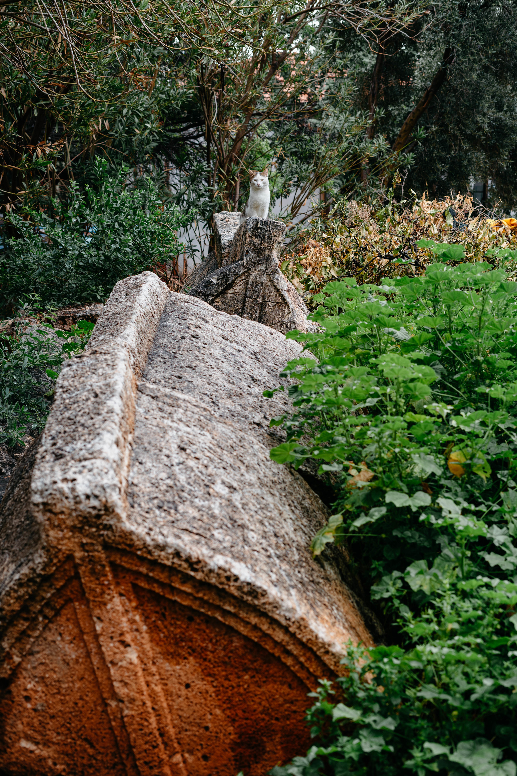 Lycia and Lycian tombs - My, Turkey, Travels, Lycia, Tombs, Story, Antiquity, Longpost