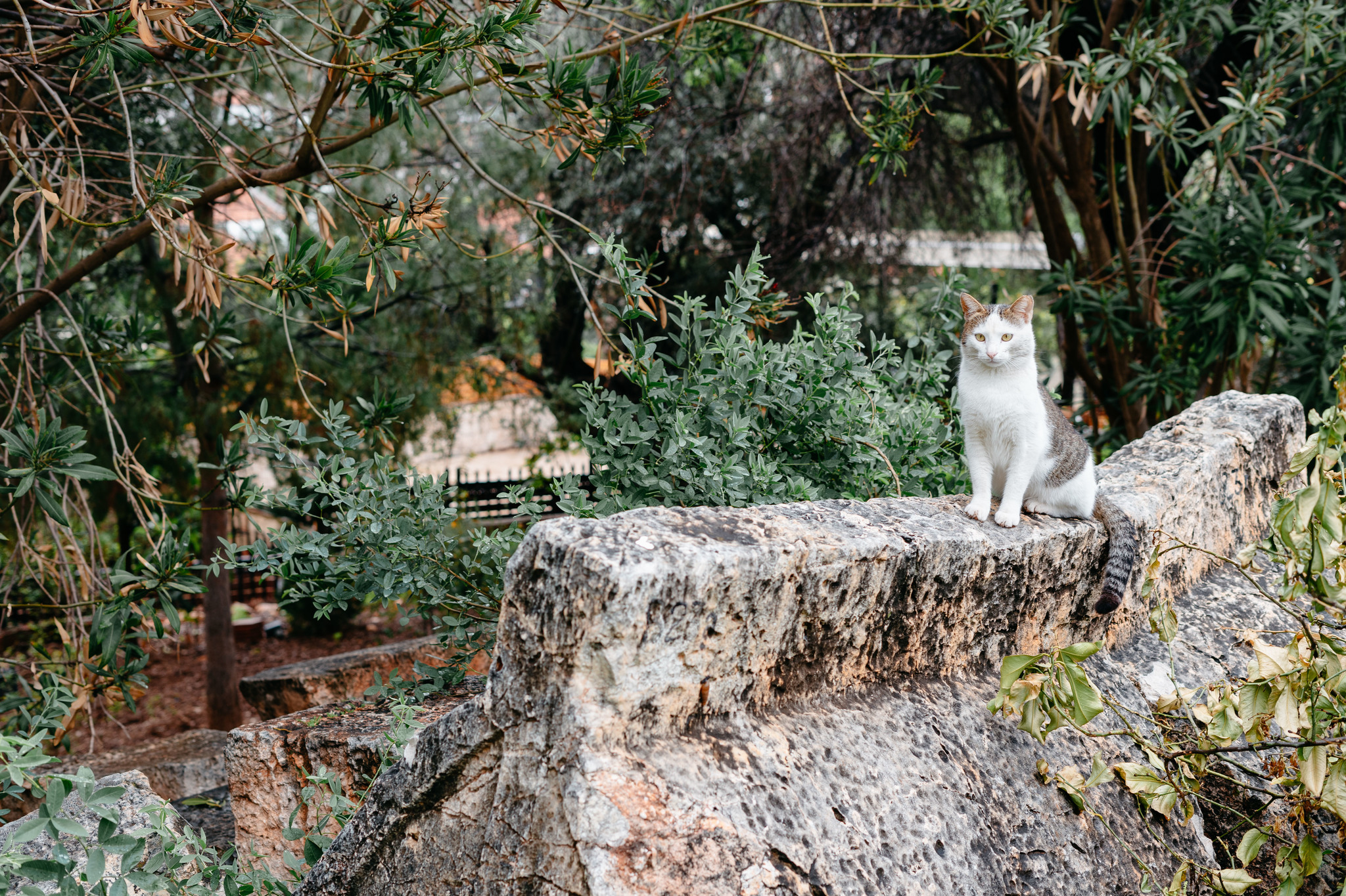 Lycia and Lycian tombs - My, Turkey, Travels, Lycia, Tombs, Story, Antiquity, Longpost