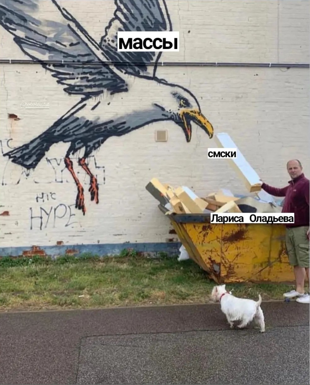 Real magic - Memes, Humor, Seagulls, Graffiti, Marathon, Wish, Interview, Ksenia sobchak