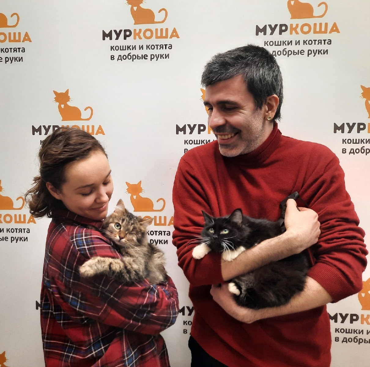 We are glad to share our successes with you - My, Murkosh shelter, Animal shelter, cat, Touching, Making the World Better, Found a home, Positive, Video, Longpost