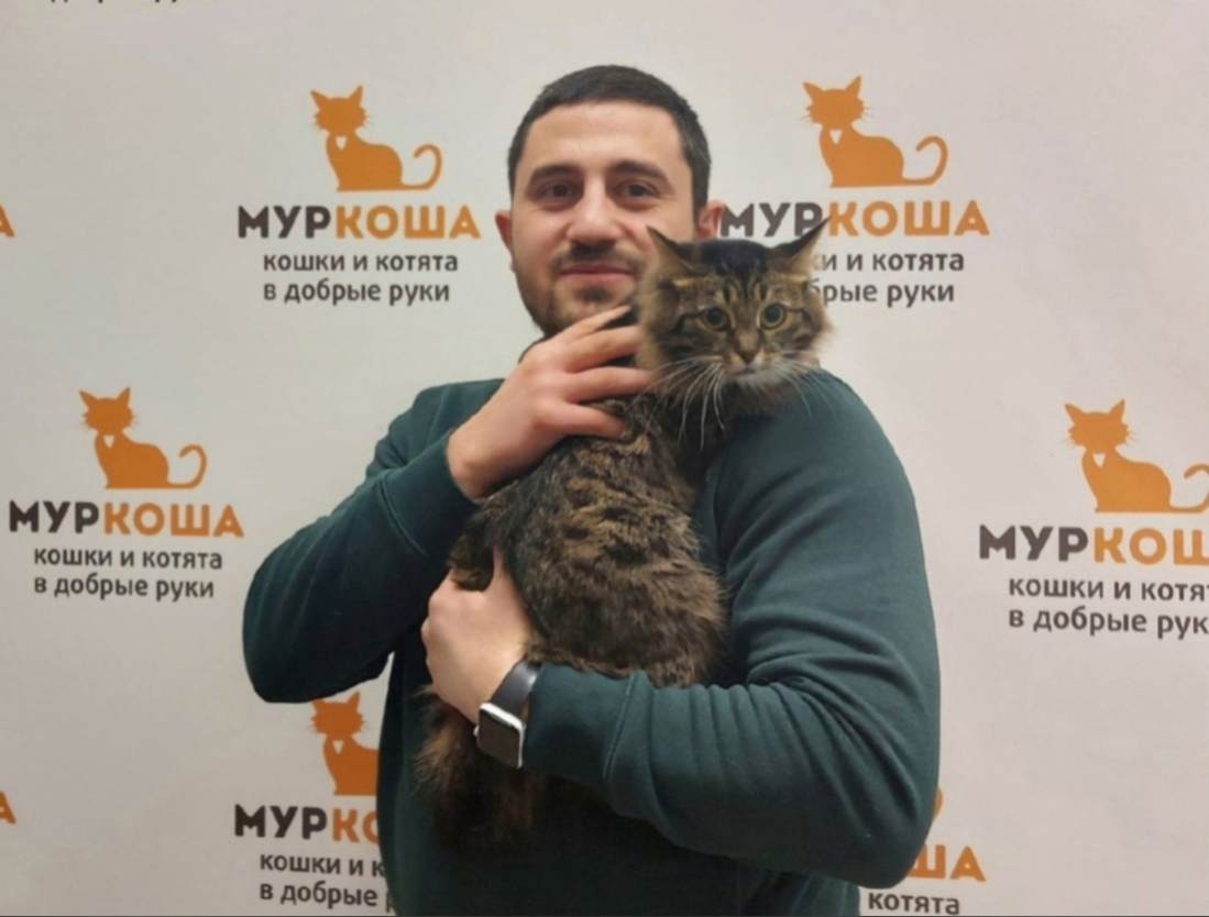 We are glad to share our successes with you - My, Murkosh shelter, Animal shelter, cat, Touching, Making the World Better, Found a home, Positive, Video, Longpost