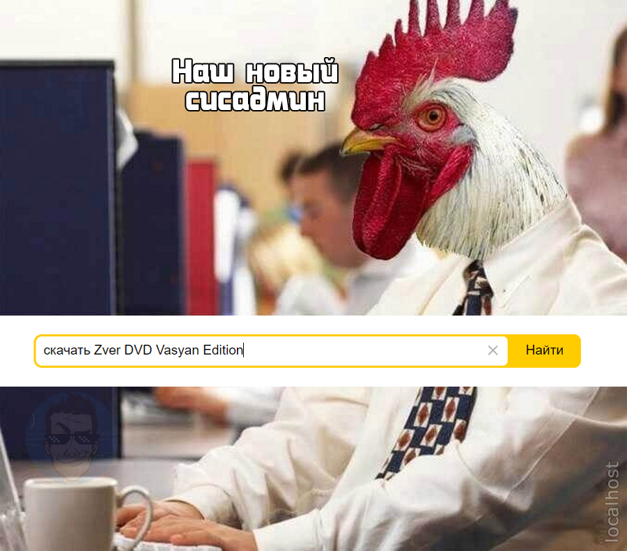 When the director decided to save money and hired his nephew as an admin - IT humor, Picture with text, Memes, Rooster, Sysadmin