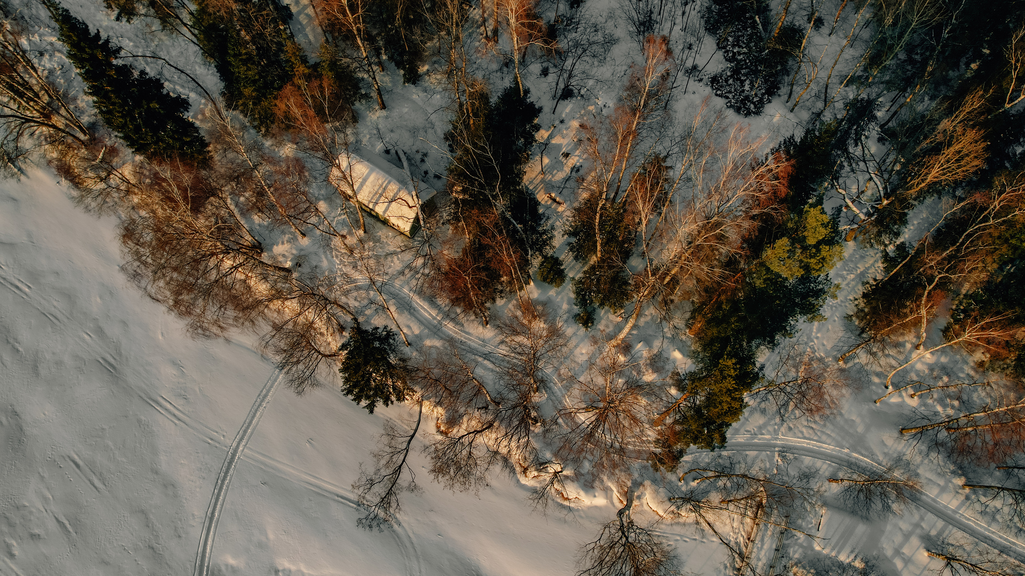 Winter sunset - My, Sunset, Shore, Forest, House, The photo, Aerial photography