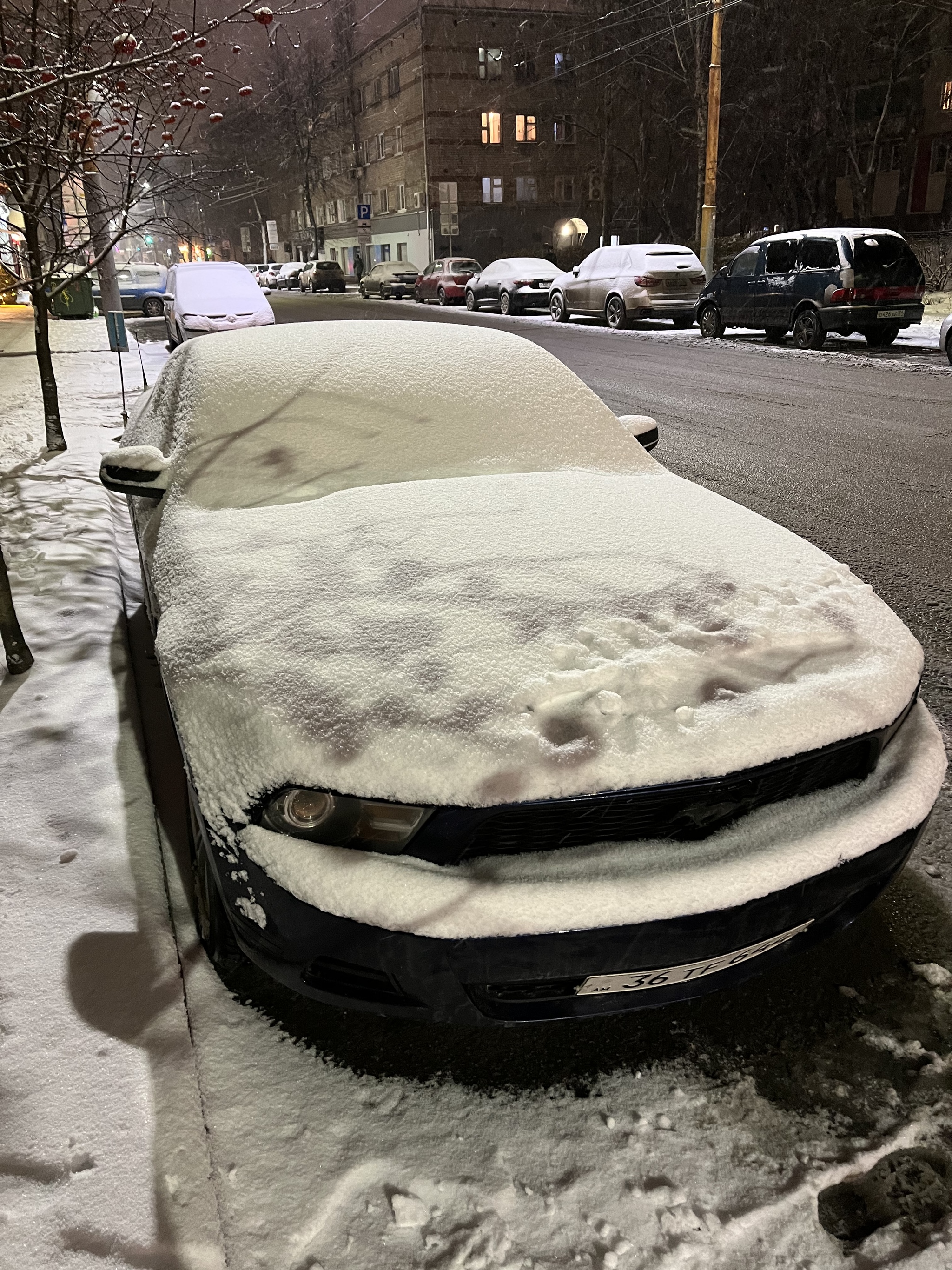 FORD MUSTANG в суровых российских реалиях - Моё, Ford Mustang, Покупка, Продажа, Цены, Автосервис, Тюнинг, Длиннопост