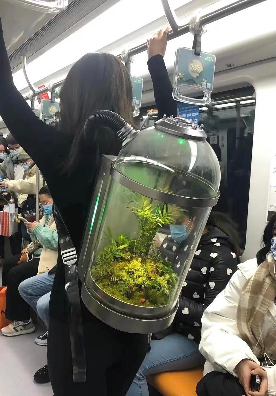 All my own - I carry with me)) - Aquarium, Aquarium, Florarium, Metro, Performance, Plants, Air, Ecology, Oxygen cylinder, Interesting