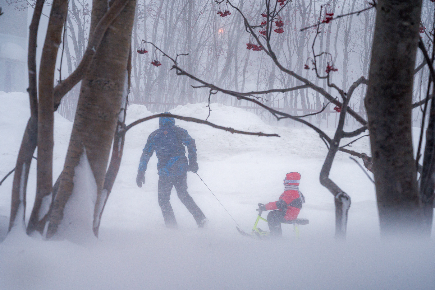 Snowogeddon in the Murmansk region - My, North, Kola Peninsula, Bad weather, Snowfall, Khibiny, Longpost