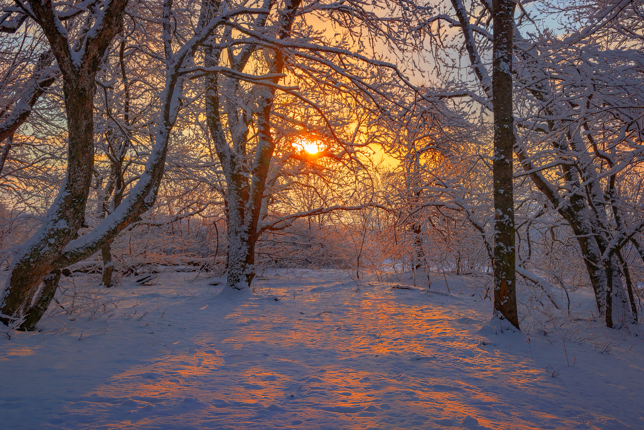 On the Sunset - My, Landscape, Caucasian Mineral Waters, Sunset, Winter