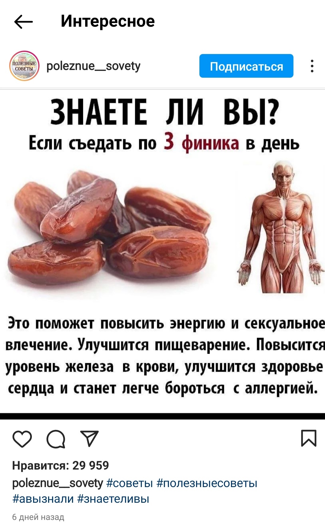 Финики | Пикабу
