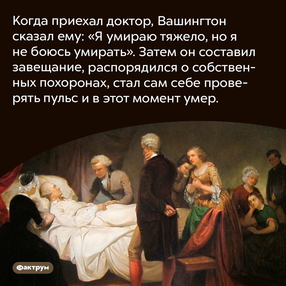 8 интересных фактов о политиках - Фактрум, Познавательно, Подборка, Факты, Политики, Длиннопост, Скриншот