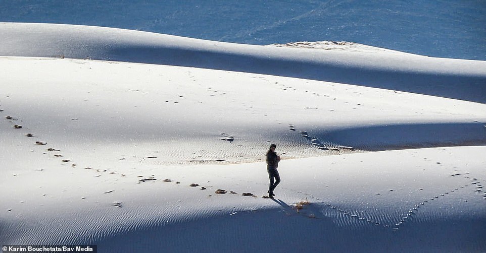 Snow fell in the Sahara Desert - Sahara, news, Snow, Longpost