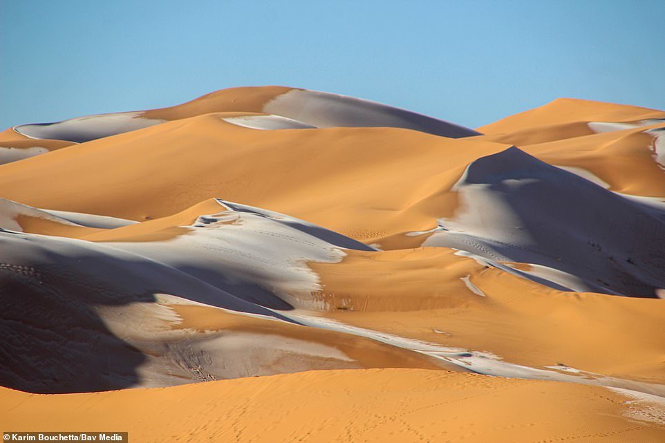 Snow fell in the Sahara Desert - Sahara, news, Snow, Longpost