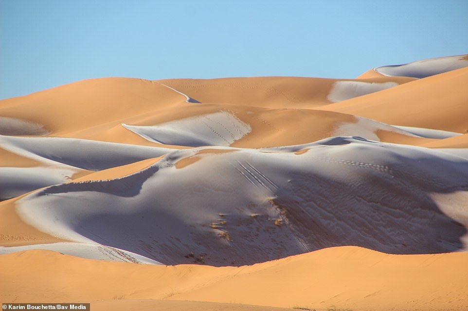 Snow fell in the Sahara Desert - Sahara, news, Snow, Longpost