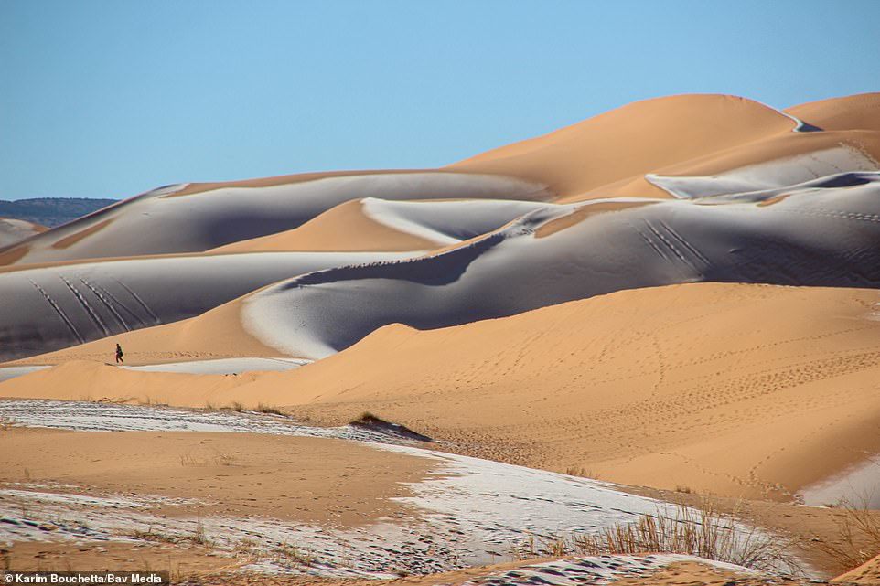 Snow fell in the Sahara Desert - Sahara, news, Snow, Longpost