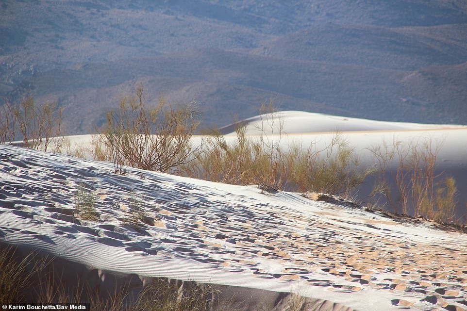 Snow fell in the Sahara Desert - Sahara, news, Snow, Longpost