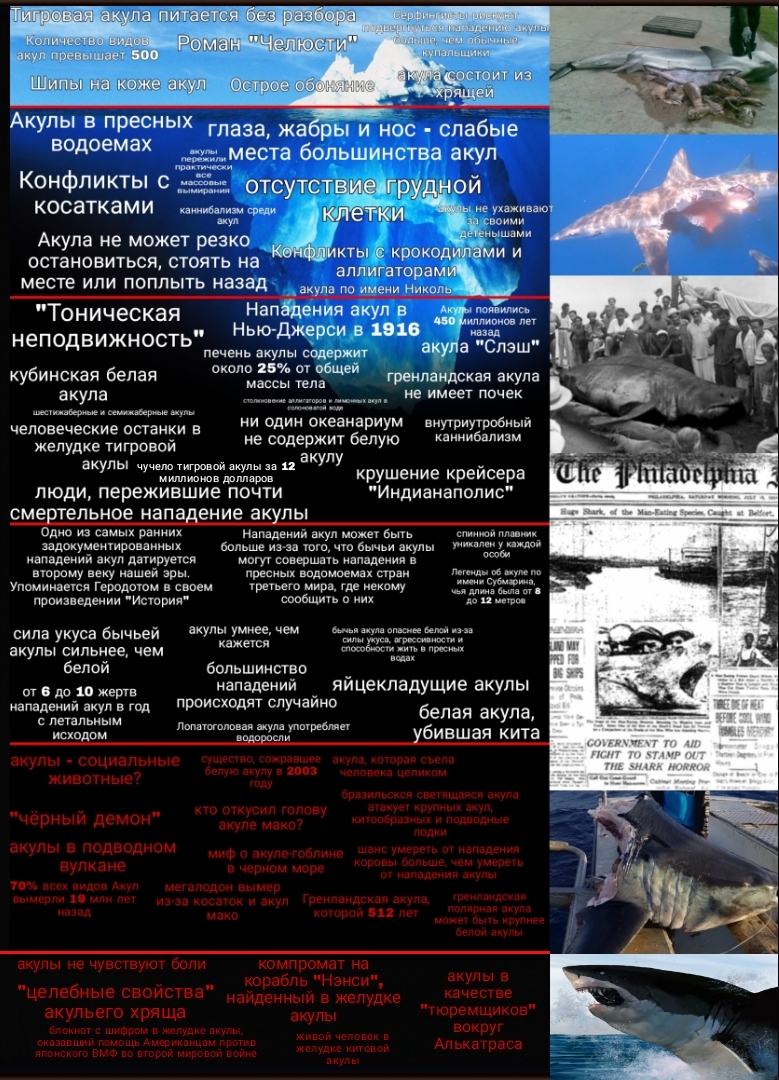 Составил свой айсберг по акулам, вдохновился работой другого пользователя.  За качество в некоторых местах извиняюсь | Пикабу