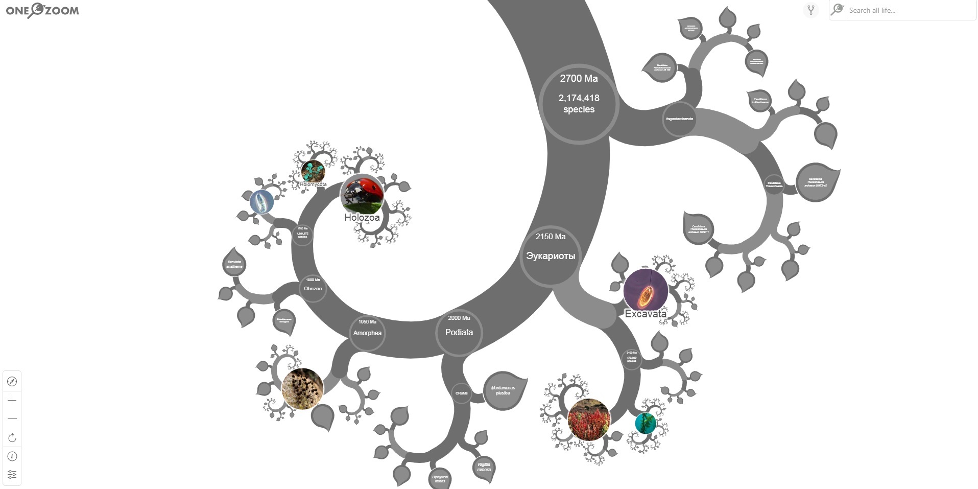 Tree of Life - My, Tree of Life, Nauchpop, Sticky, Scheme, Biology, Longpost