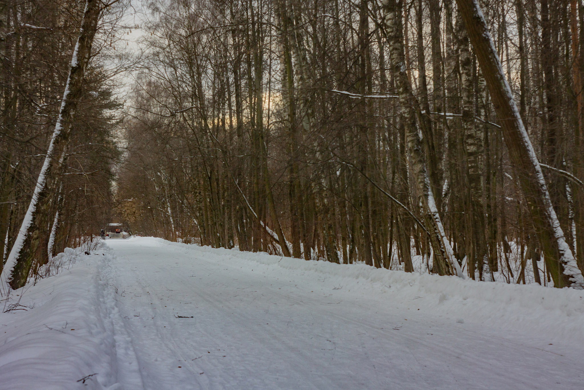 January Hundred - My, A bike, Bike ride, The photo, Moscow, Video blog, Video, Longpost