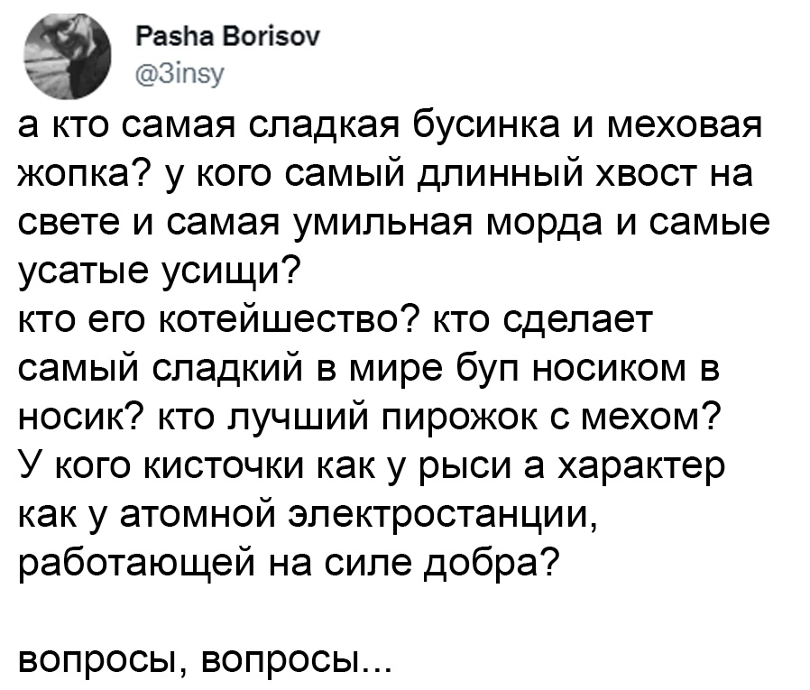 И так каждый раз по возвращению домой - Юмор, Кот, Комментарии