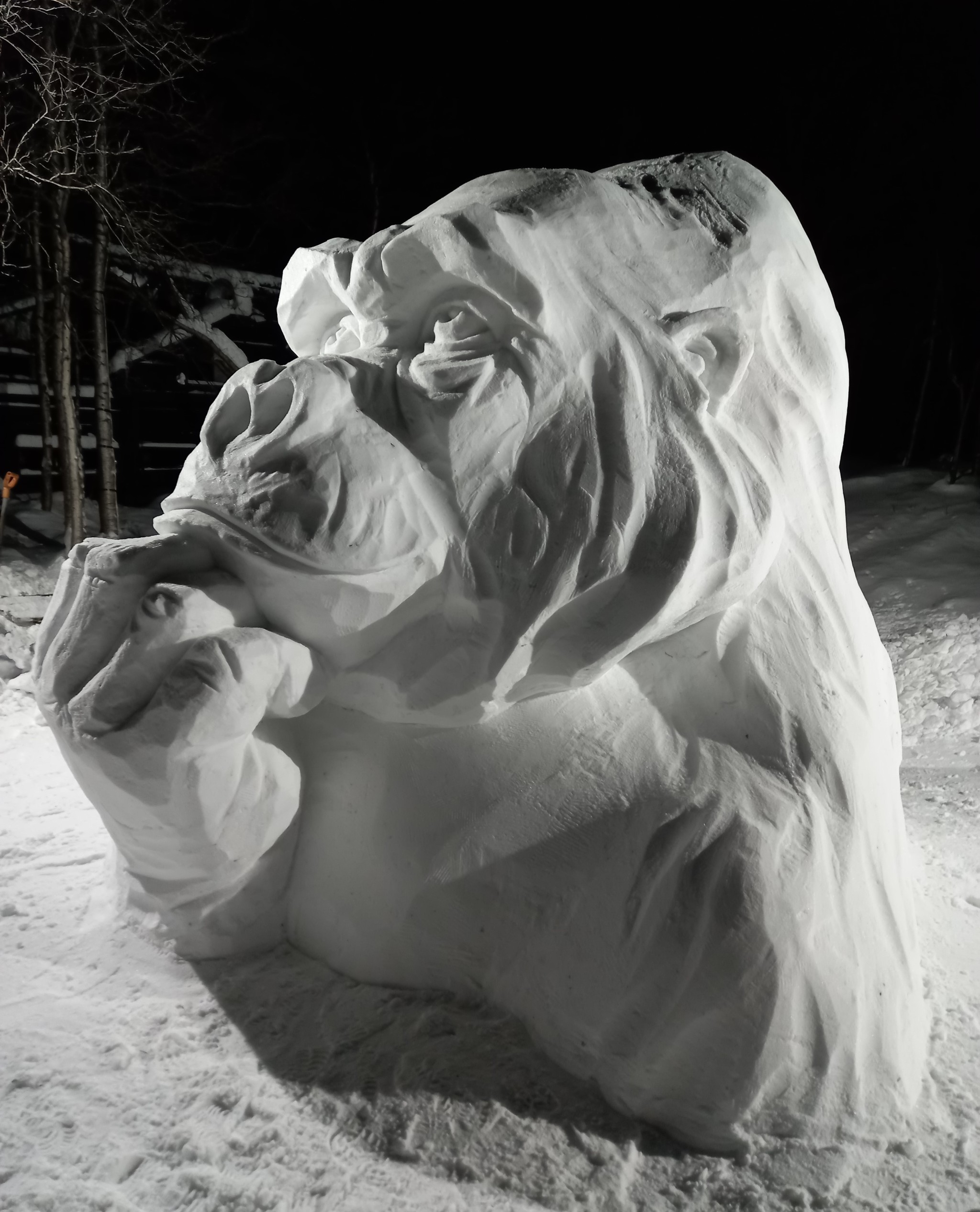 A white gorilla. Snow sculpture - My, Art, Snow figures, snowman, Walk in the woods, The photo, Sculpture, 2022, Gorilla, Interesting, Video, Longpost