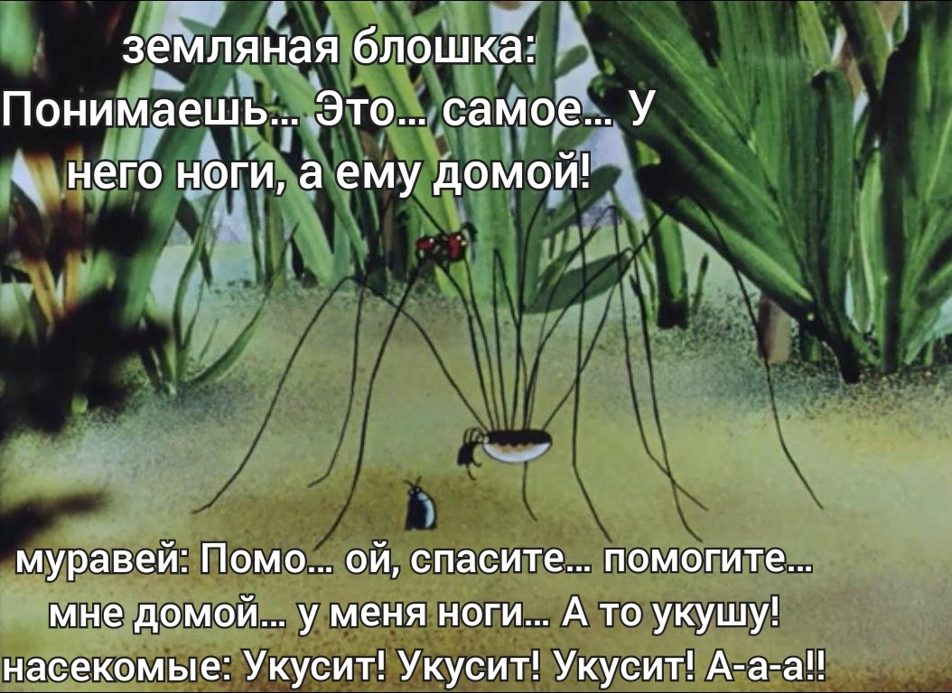 About cartoons - My, Soviet cartoons, Dubbing, Picture with text, Longpost