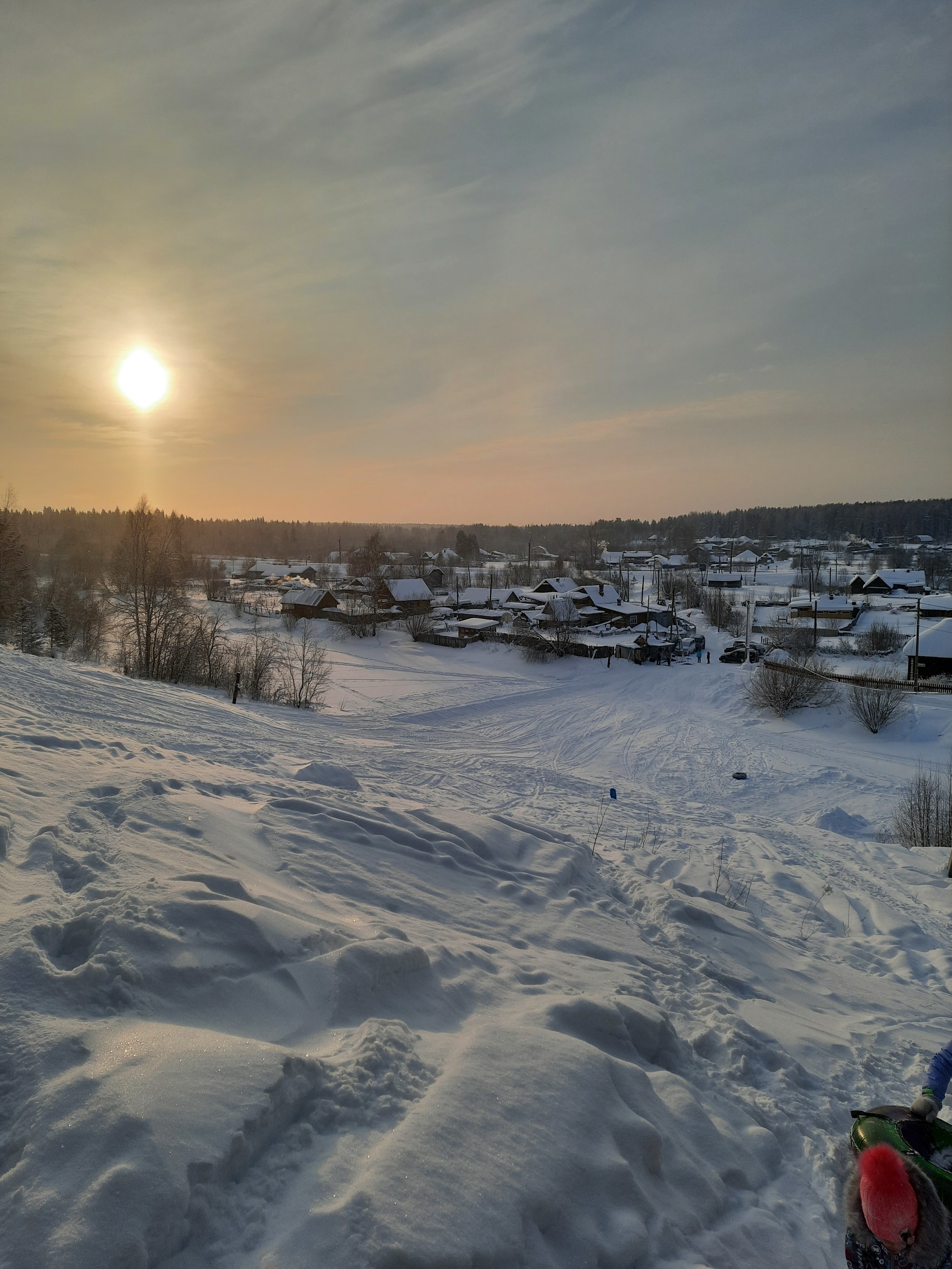 Winter - My, Clean forest, Night, Winter, Walk, Longpost