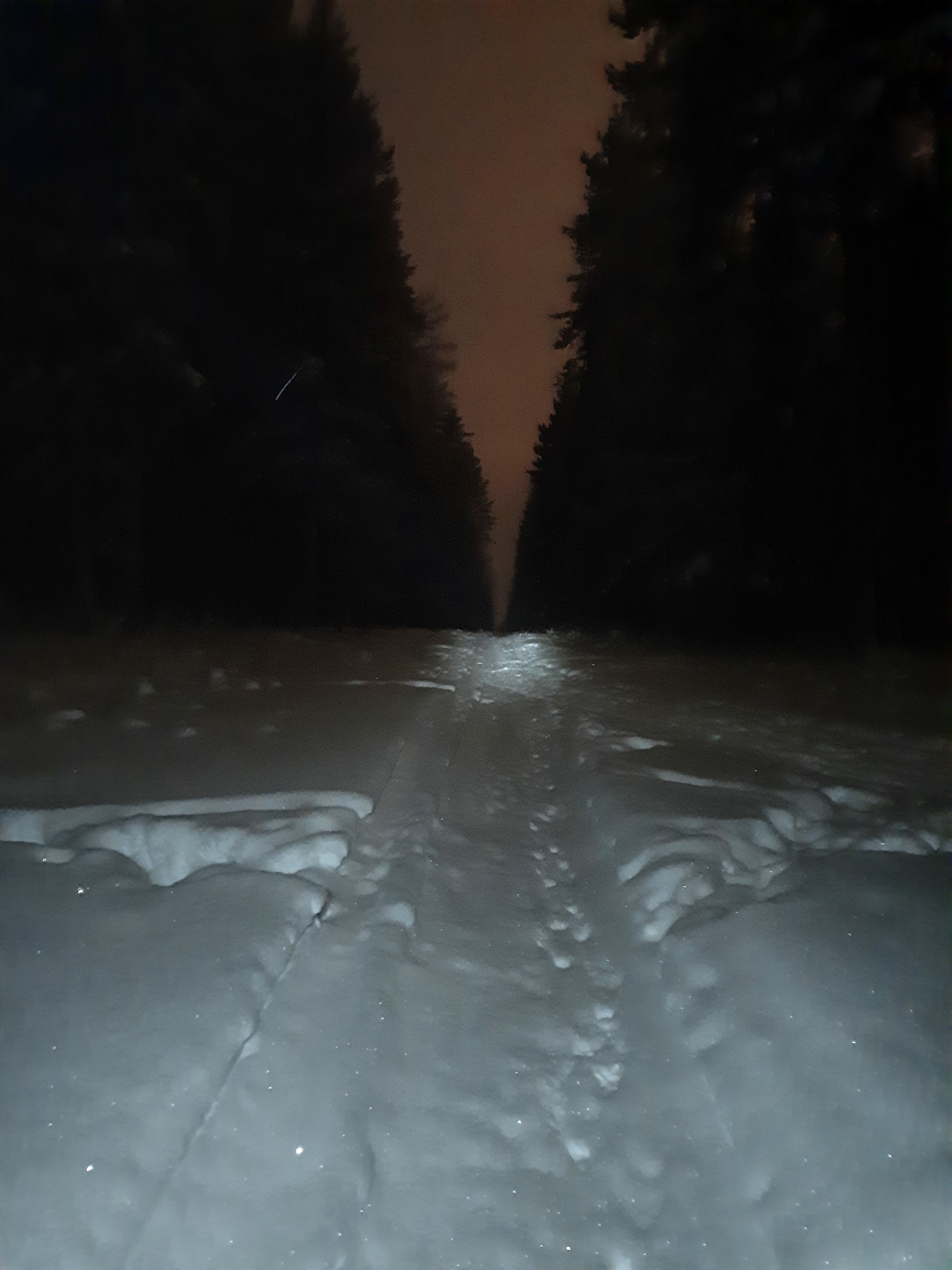 Winter - My, Clean forest, Night, Winter, Walk, Longpost