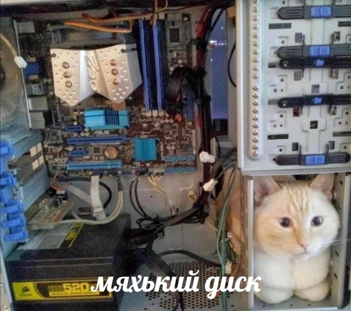 a new disk is installed - Discs, cat, Computer, Repeat