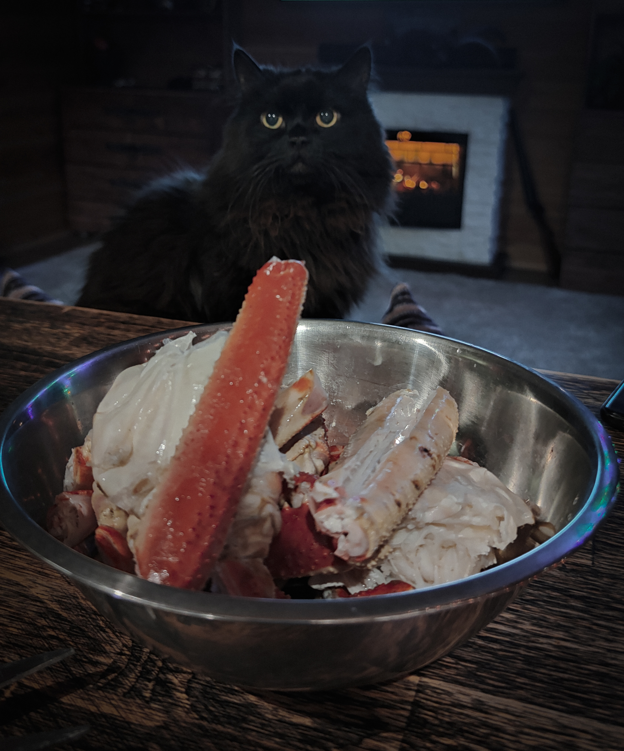 Light dinner - My, cat, Black cat, Kamchatka, Crab