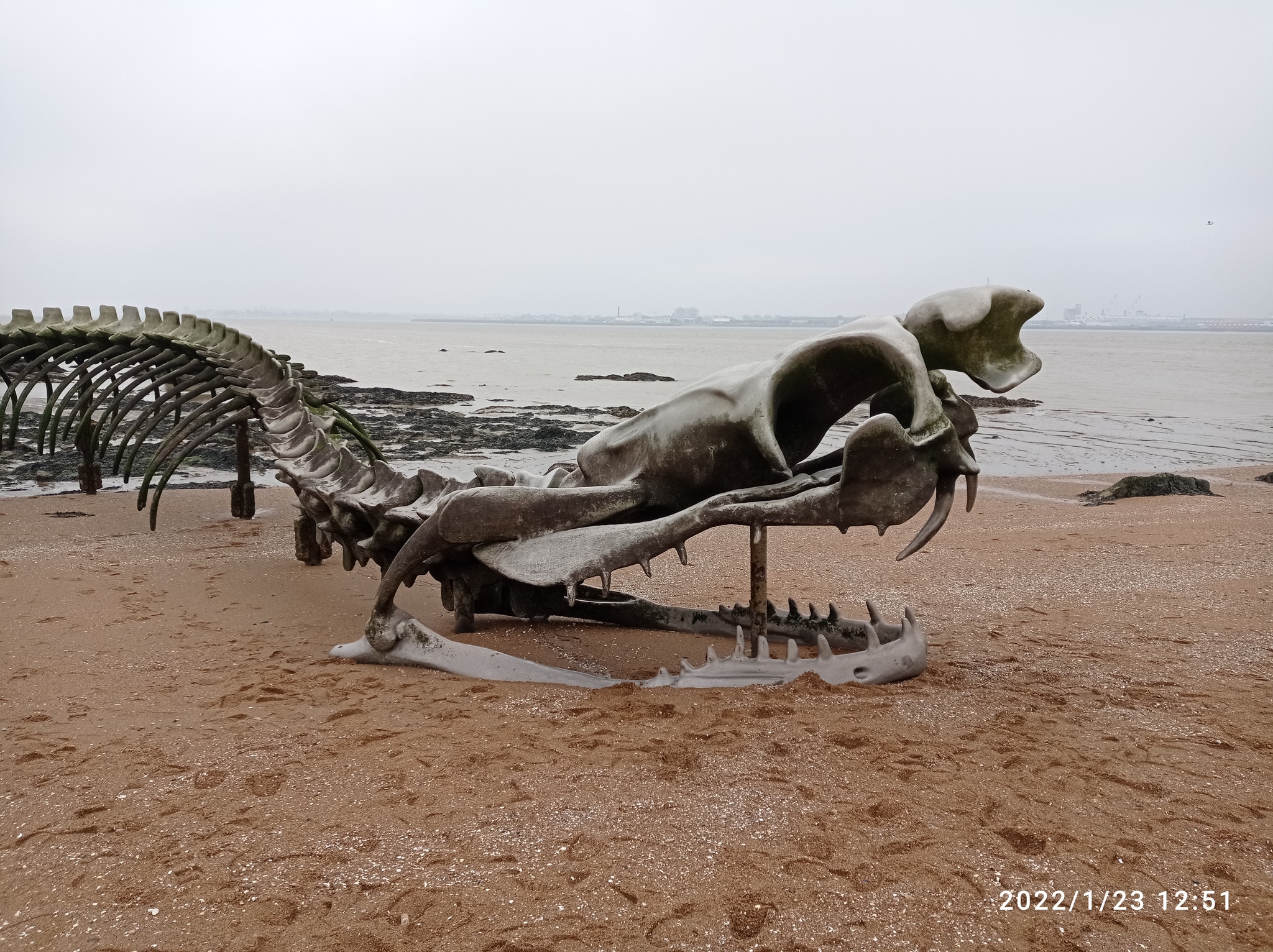 Serpent D’ocean - My, The photo, Images, Sculpture, Art, France, Longpost