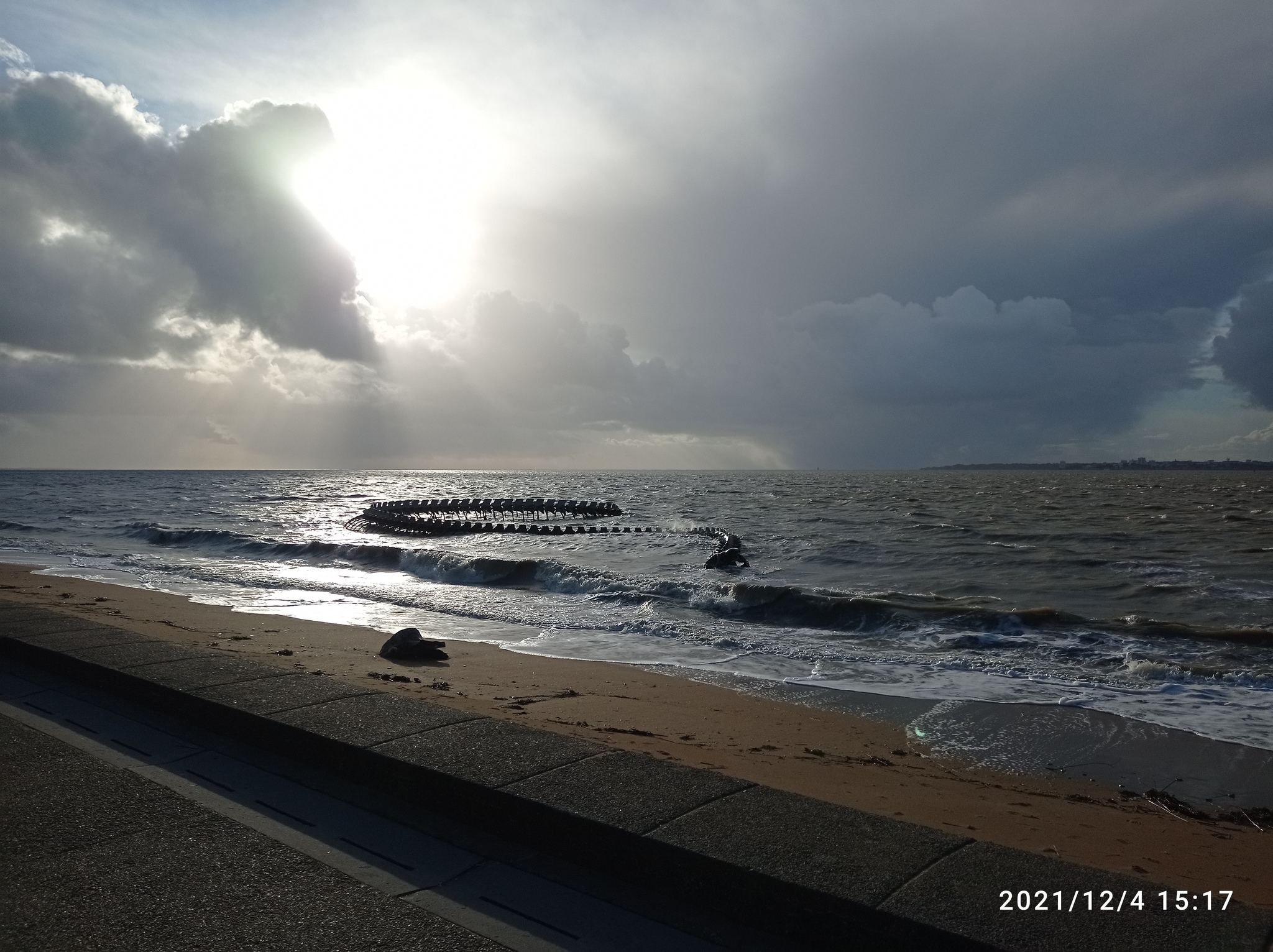 Serpent D’ocean - My, The photo, Images, Sculpture, Art, France, Longpost