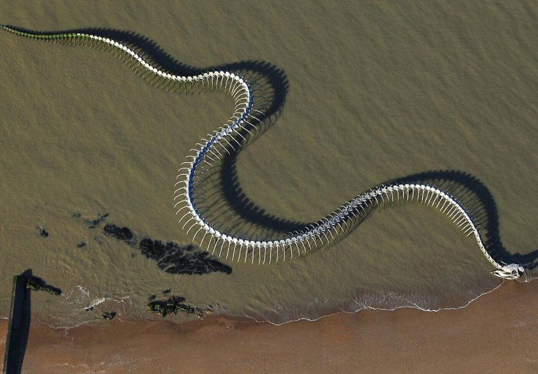 Serpent D’ocean - My, The photo, Images, Sculpture, Art, France, Longpost