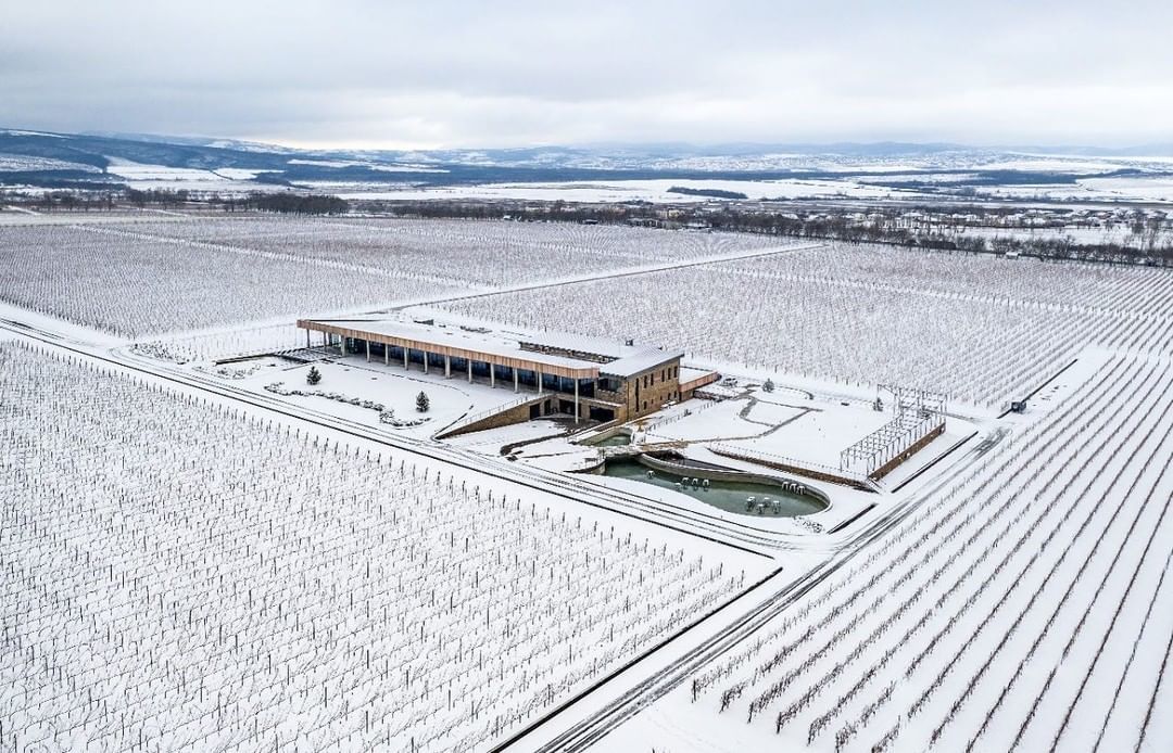 Winter in the vineyards of Russia - My, Russia, The nature of Russia, Wine, Longpost, Vineyard