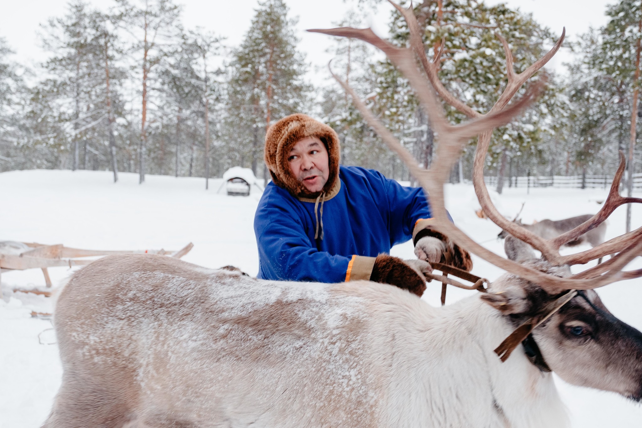 Journey to the Hunts Reindeer Herders - My, Travels, Travel across Russia, Khanty, Tourism, Туристы, sights, Longpost
