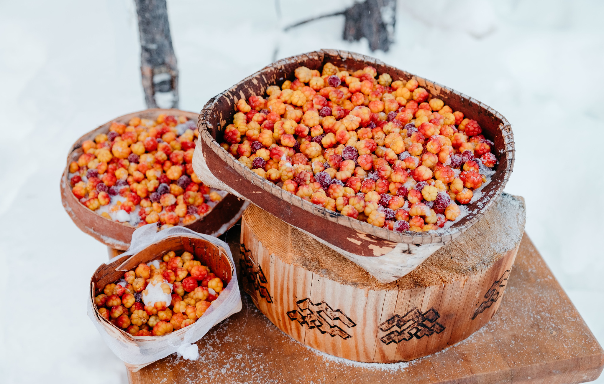 Onions-Yaun and Siberian palm trees - My, Travel across Russia, Tourism, Khanty, Travels, Reindeer, Deer, Camp, Longpost