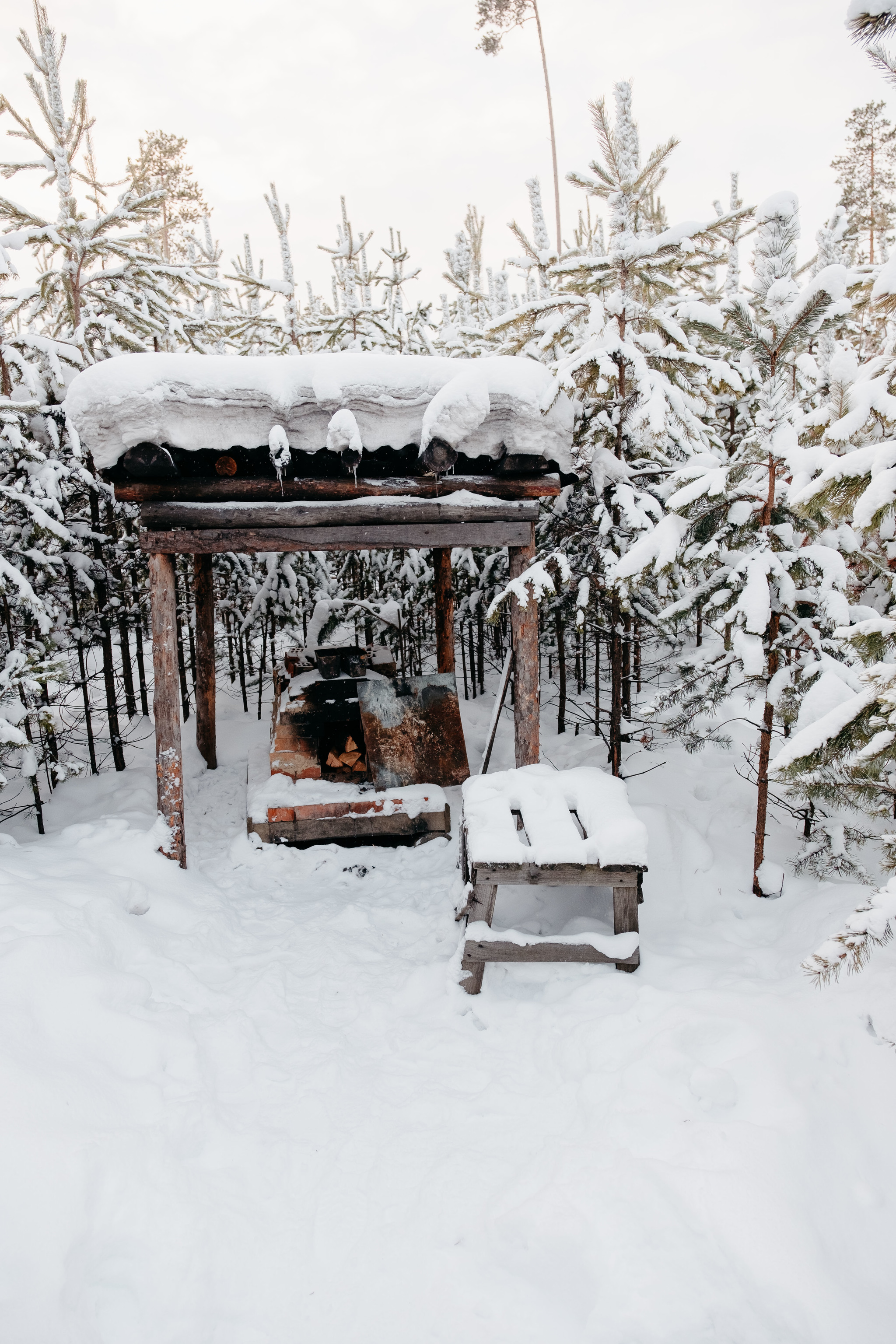 Onions-Yaun and Siberian palm trees - My, Travel across Russia, Tourism, Khanty, Travels, Reindeer, Deer, Camp, Longpost