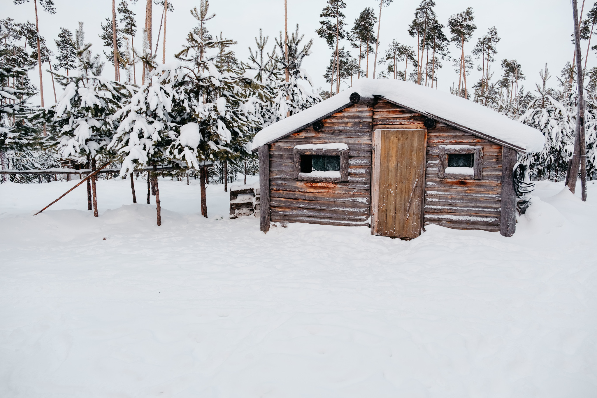 Onions-Yaun and Siberian palm trees - My, Travel across Russia, Tourism, Khanty, Travels, Reindeer, Deer, Camp, Longpost